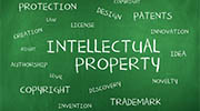 Vietnam intellectual property rights investigator
